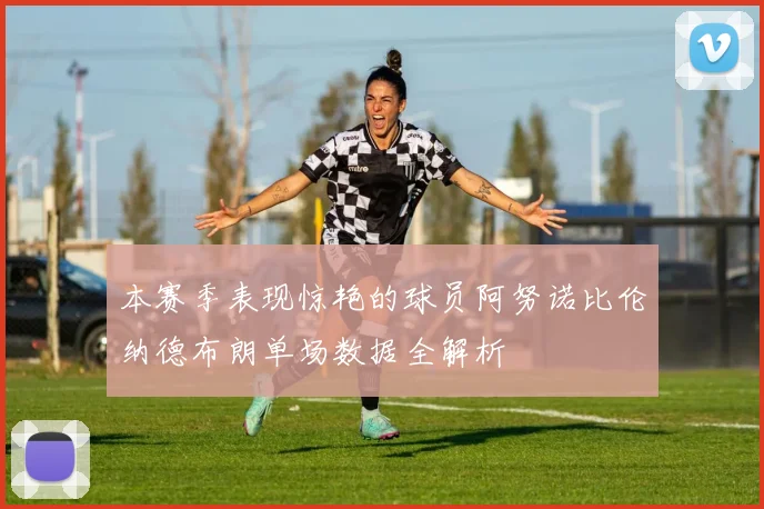 本赛季表现惊艳的球员阿努诺比伦纳德布朗单场数据全解析