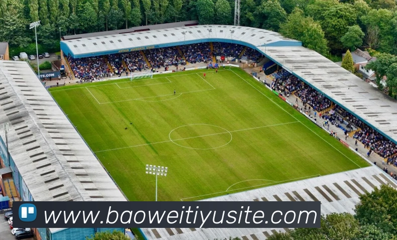 宝威体育平台生态图