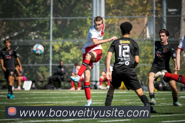 宝威体育APP 封面图